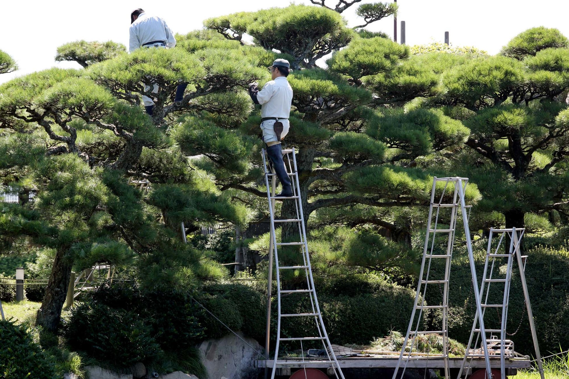 造園・植木屋の制作実績、二人三脚のサポート体制、最短2週間で納品可能なスピード感がお客様に支持されています。