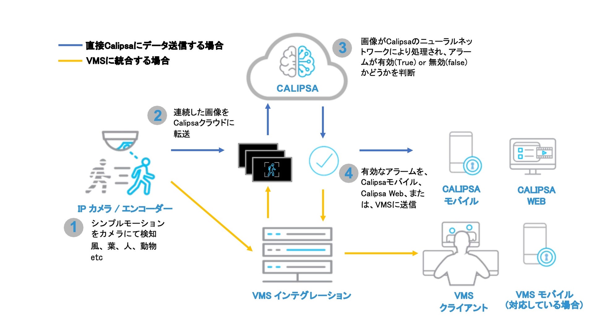 Pelco Calipsa システム概要図